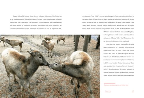 保護生物多樣性丨醫(yī)藥領(lǐng)域的技術(shù)開發(fā) 中觀自然啟示與雙語深讀